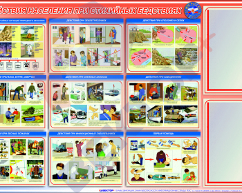 СТЕНД Действия населения при стихийных бедствиях 750х1200х3мм 2КВ - Пожарная безопасность